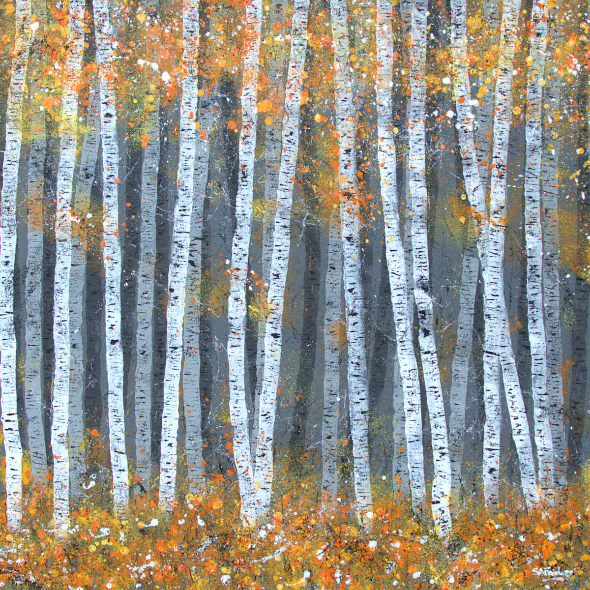 Silver birch trees in autumn