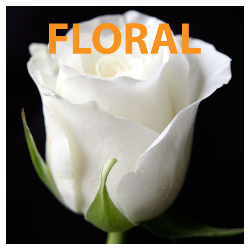 Floral Image Gallery