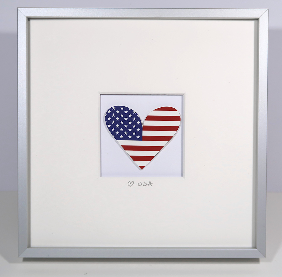 framed USA flag print